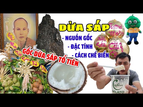 Đến Festival 100 năm Dừa Sáp Trà Vinh tìm hiểu về giống dừa độc lạ, đắt nhất Việt Nam