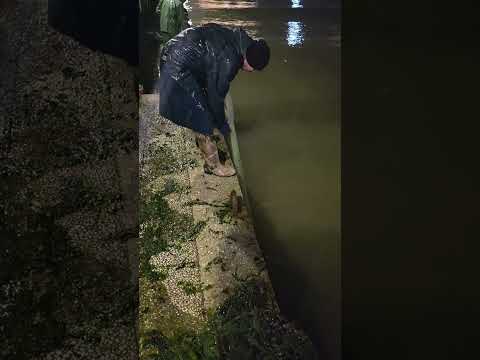 #pesca#fishing#صيد السمك#balıkavı