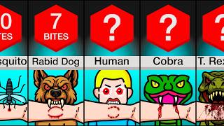 Comparison: How Many Bites To Kill You