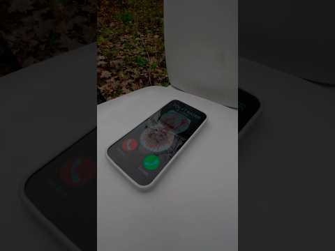 Toilet eater real call