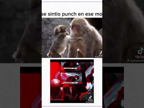 #yosoydelos7mil punch