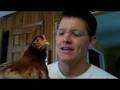 Understanding Chicken Head Stability