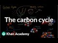 Exploring the Carbon Cycle in Biological Systems