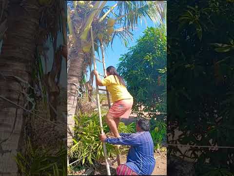 #ตลกฮาฮา #comedy #memeclip #funny