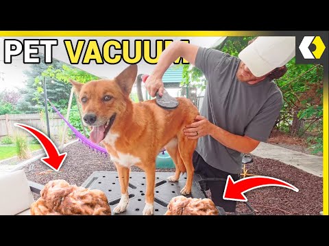 DIY Pet Vacuum Cleaner That Solves ALL Your Shedding Problems!