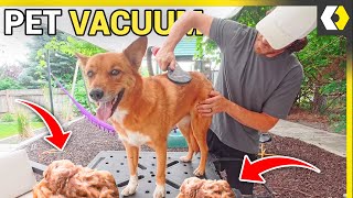 DIY Pet Vacuum Cleaner That Solves ALL Your Shedding Problems!