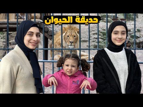 جوان وليليان في حديقة الحيوان من جديد 🦁