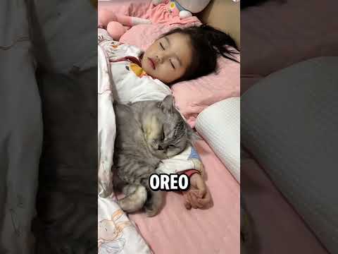 oreo selalu di samping si adek😊
