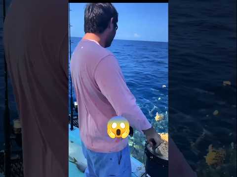 Nasi basi bikin untung si Abang #fishing #mancing #shots