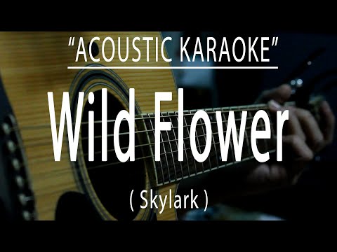 Wild Flower – Skylark (Acoustic karaoke)