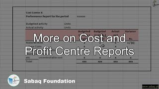 More on Cost and Profit Centre Reports