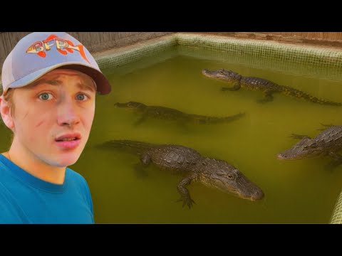 ¡Descubrí monstruos viviendo en una alberca abandonada!