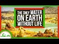 Extreme Environments and Life Forms
