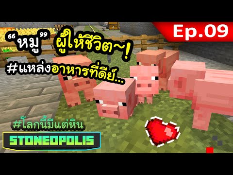 หัวใจพิเศษจากหมู~! EP. 9 | โลกนี้มีแต่หิน Stoneopolis