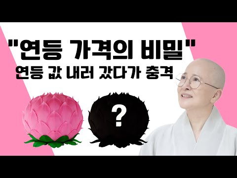 연등 가격 연등 값 내러 갔다가 충격 생활#법문[보현스님TV ]