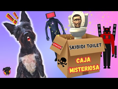 ¡CAJA MISTERIOSA! Skibidi toilet 💩 Lana
