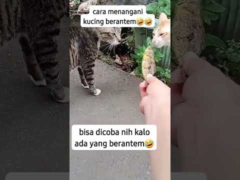 #youtubeshort #ytshorts #youtube #lucu #fyp #fypシ゚viral #fypシ゚ #subscribe #shortvideo #short #shorts