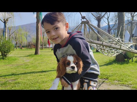 Can king charles Luna'yı  Parkta gezdirdi 🍡Funny Kids Videos -Funny video-Çocuk Videoları