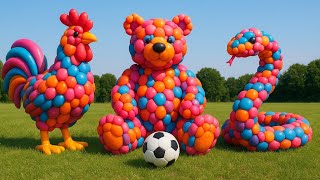 The mascot vibrato assistant dog placed on the football field is popular, co-produced, and creative