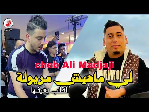 Cheb Ali Madjaji 2025 الشيخ علي المجاجي 🔥🔥 لي ماهيش مريولة القلب يعيفها