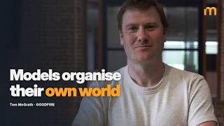 Strange Geometric Shapes Found Inside AIs — Tom McGrath