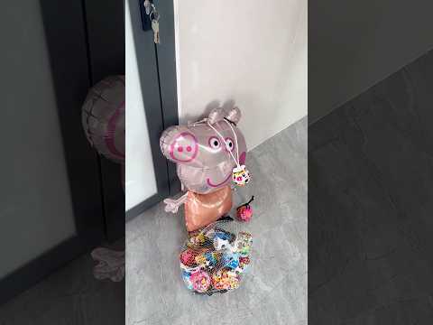 Lụm heo về HEO ăn sạch #shortvideo #funny #kingtroll #ktlnsieutroll #clipvui #trolledit #haihuoc #ma