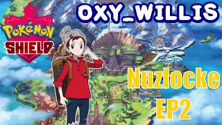 How did Hop get endorsed for this?  Pokemon Shield Nuzlocke
