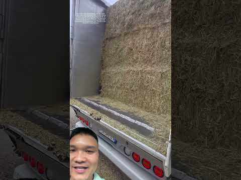 Xe Tải Hiện Đại Ở Trung Quốc #facts