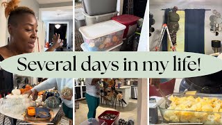 *NEW* SEVERAL DAYS IN MY LIFE | GETTING FALL DECOR OUT | COOK DINNER | HAZELWOOD PRINCESS | & MORE