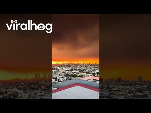 Los Angeles Fires Viewed From Hollywood Rooftop || ViralHog