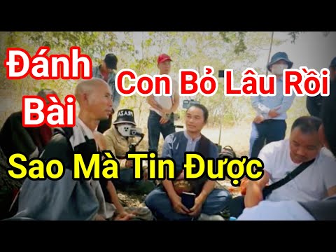 🔴 Tin Mới Nhất Phước Nghiêm Giải Trình Về Việc Đánh Bài Trước Sư Thích Minh Tuệ? Luật Sư Vlogs