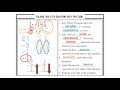 Solving Two-Step Equations Involving Fractions