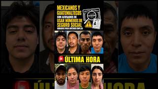 🚨Acusan a 13 inmigrantes mexicanos y guatemaltecos de utilizar números de Seguro Social robados