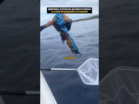 Девушка Заплыла Далеко В Океан И С Ней Произошло Страшное