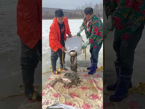 Fisherman skill part-62, best snow fishing idea #ytshorts #fishing