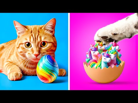 Egg Surprise for Your Furry Friend! 🐾🎉