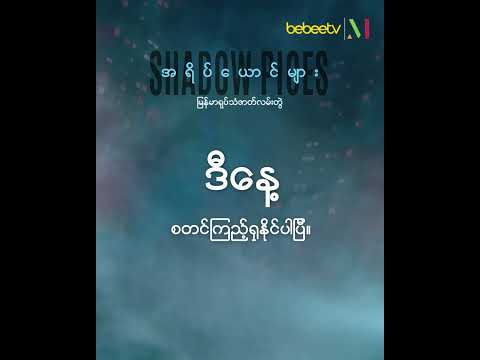 ဒီညလာမဲ့ “အရိပ်ယောင်များ”