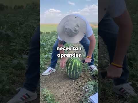 Mis abuelos adoraban a mi primo mientras trataban al resto de nosotros como sirvientes hasta que