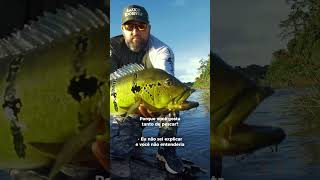 SÓ QUEM AMA ENTENDE - PESCA ESPORTIVA NA AMAZÔNIA