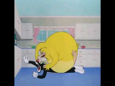 #cat #chicken #battle #funny #cartoon #sn2sg #fight #grow #sunnightmusic #sunnight #sunnightpop #xl