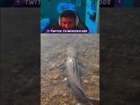 OLHA A NAVE DE PINTADO QUE ESSE CARA PESCOU ! #peixe #pesca #pescaria #fishing