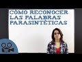 Understanding Parasinthetic Words