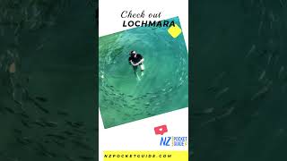 🔥 MUST-DO Highlights in Picton, NZ