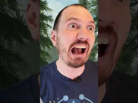 Während der Spieler das Game pausiert #skyrim #thewitcher3 #hogwartslegacy
