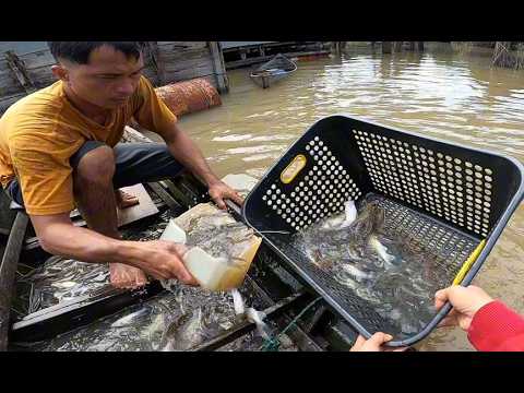 PEMUDA INI NEKAT NYELAM DI DALAM SUNGAI PENUH BU4Y4 !!! HASIL IKAN NYA BANYAK BANGET !! PART 1