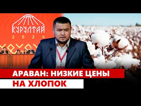 Араван: Низкие цены  на хлопок