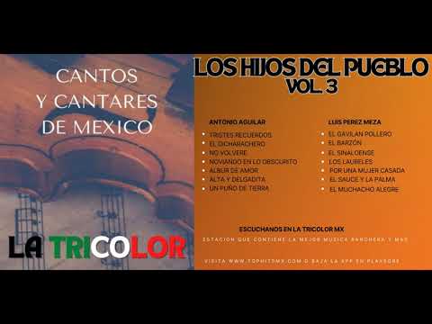 Los Hijos del Pueblo Vol.3 (Antonio Aguilar y Luis Perez Meza una Colección de La TRICOLOR MX)