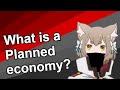 Critiques and Characteristics of Planned Economies