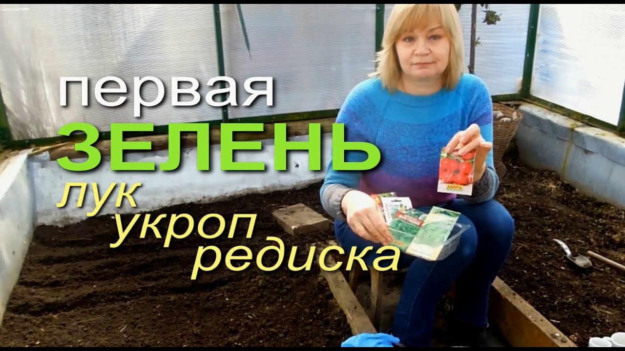 Ранняя посадка зелени в теплице! Лучок, укроп, шпинат, редиска!
