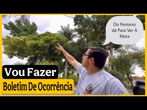 "Meu coleiro fugiu! Por que é importante fazer um BO? Entenda aqui 🕊️"